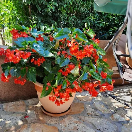 Soldo Διαμέρισμα Ζαντάρ