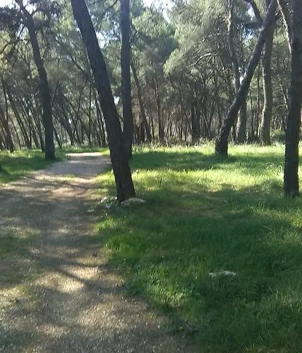Soldo Zadar