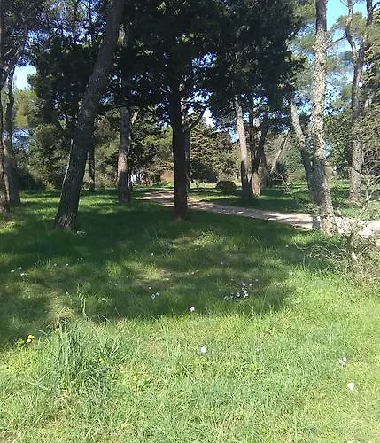 Soldo Zadar