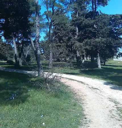 Soldo Zadar